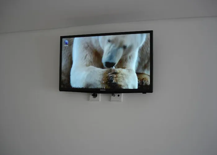 Apartamento Bragas Porto